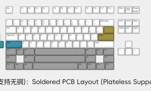 class80 r2 soldered pcb and ec pcb extra 558531